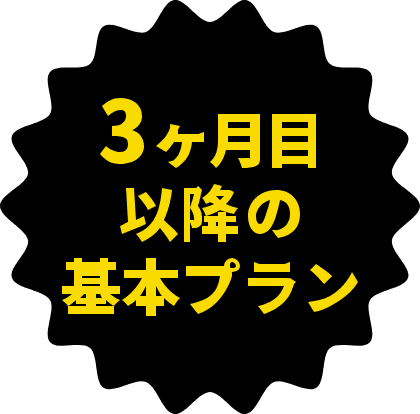 3ヶ月以降の基本プラン