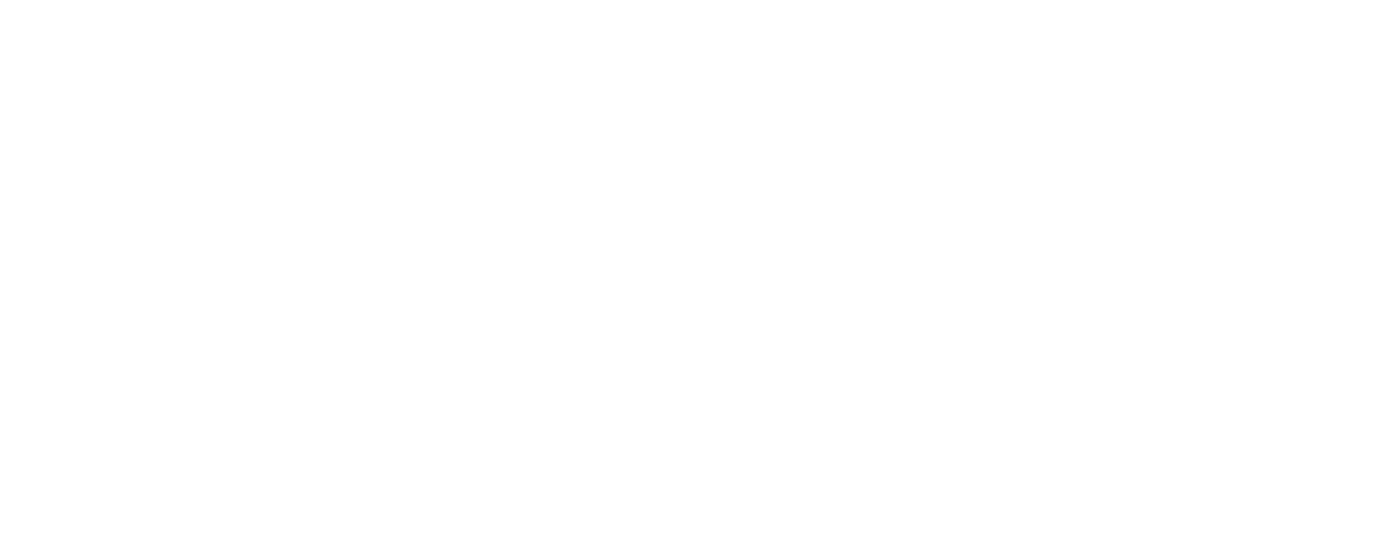 Reformer