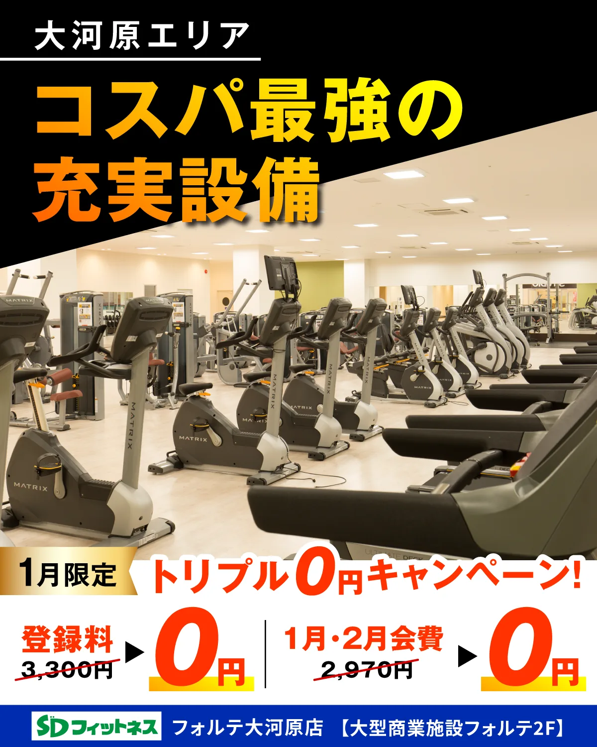 1月のキャンペーン情報